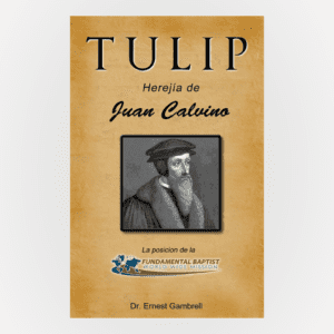 Cover of Tulip: Herejía de Juan Calvino