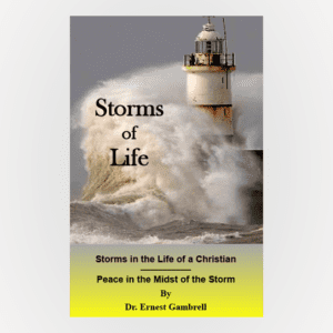Cover of Storms of Life
