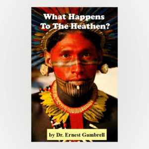 Cover of What Happens To The Heathen?