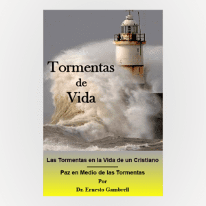 Cover of Tormentas de Vida