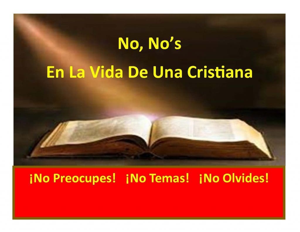 NO,NO'S SPANISH LANDSCAPE